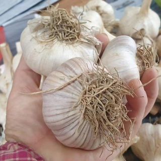 조한솔님의 작성글 사진