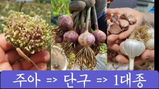 조한솔님의 작성글 사진