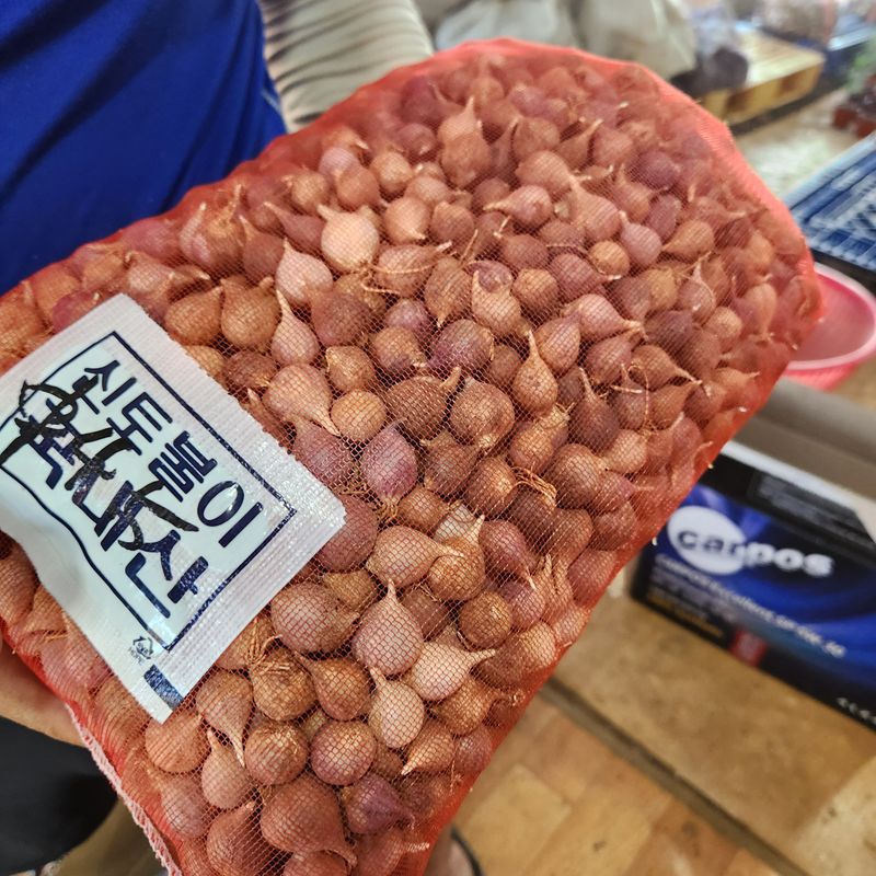 조한솔님의 장터 판매 상품 [홍산마늘 단구 1kg] 첨부 사진