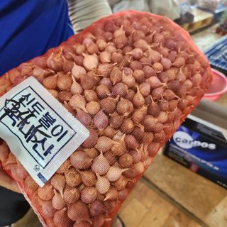 조한솔님의 작성글 사진