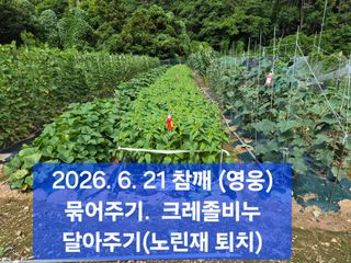 박성민님의 자유주제 · 자유게시판 작성글 사진