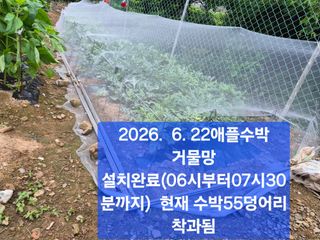 박성민님의 자유주제 · 자유게시판 작성글 사진