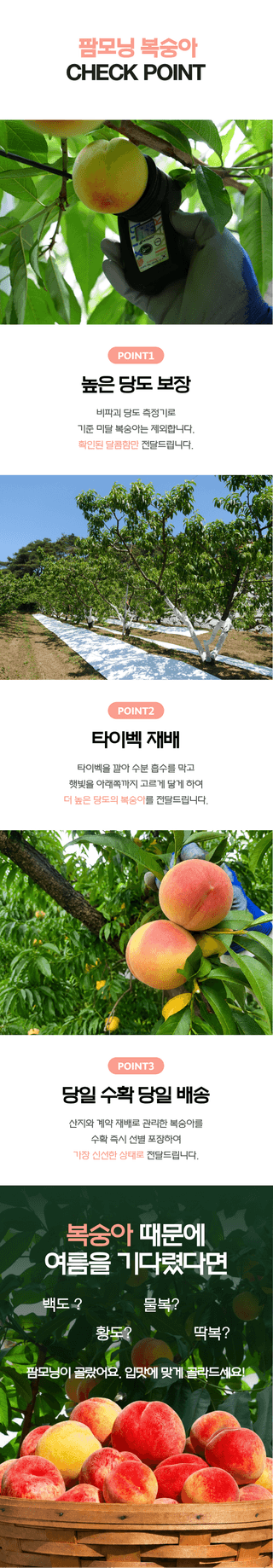 팜모닝 산지직송님의 작성글 사진