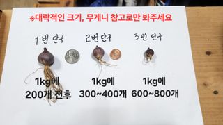 조한솔님의 작성글 사진