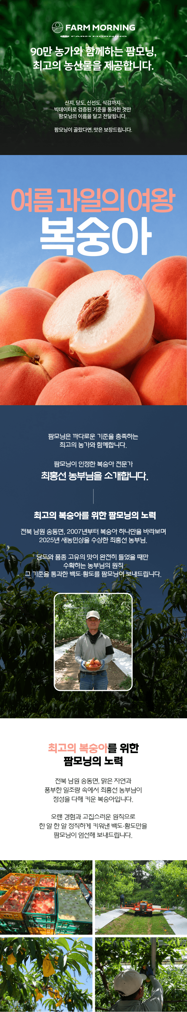 팜모닝 산지직송님의 장터 판매 상품 [[산지직송] 전북 남원 백도/황도 털복숭아] 첨부 사진