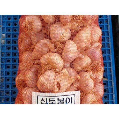 조한솔님의 장터 판매 상품 [홍산마늘 1세대(1대종) 종자 씨마늘 1kg] 첨부 사진