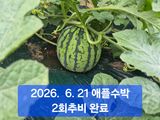 팜모닝 자유주제·자유게시판 게시글 이미지