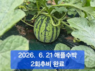 박성민님의 자유주제 · 자유게시판 작성글 사진
