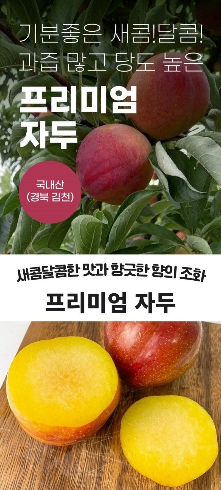 자두14488님의 장터 판매 상품 [자두 3kg 새콤달콤 여름 제철 과일 ] 첨부 사진