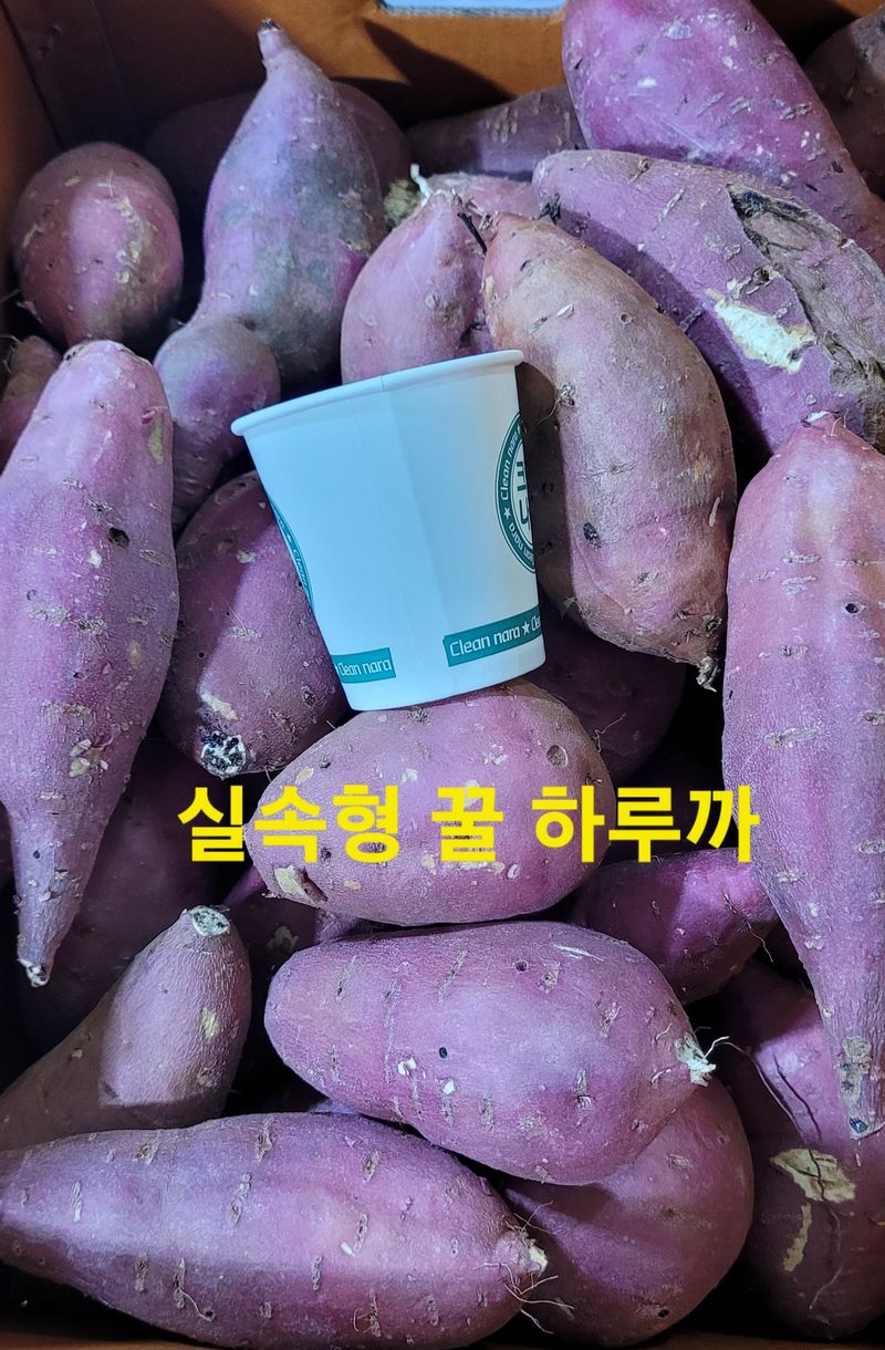 사랑꽃농장님의 장터 판매 상품 [ 실속형 못난이 이찌 하루까 판매5kg] 첨부 사진