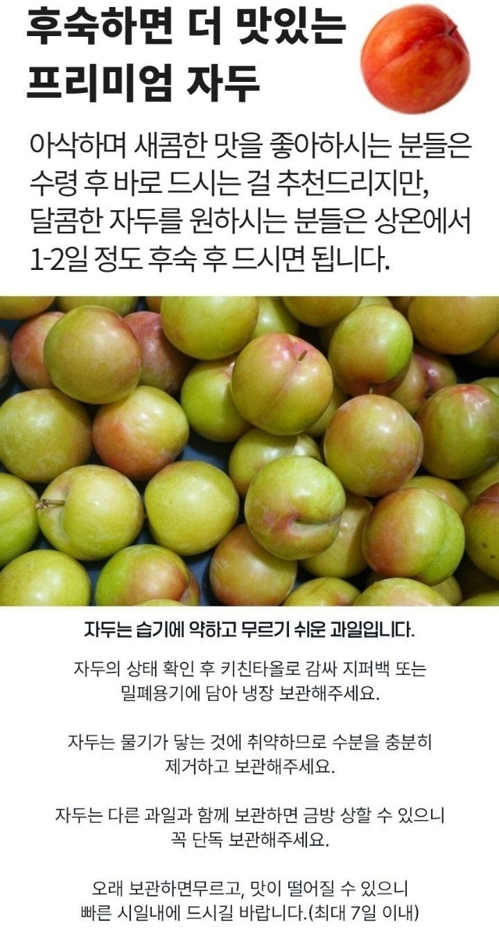 자두14488님의 장터 판매 상품 [자두 3kg 새콤달콤 여름 제철 과일 ] 첨부 사진