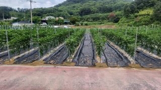 김길수님의 자유주제 · 자유게시판 작성글 사진