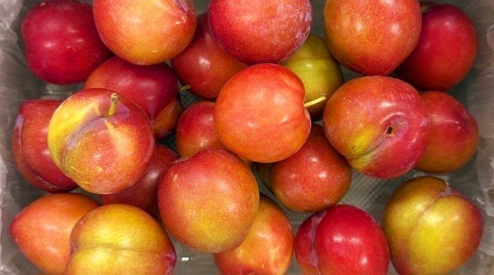 장터 상품 [자두 3kg 새콤달콤 여름 제철 과일 ] 썸네일