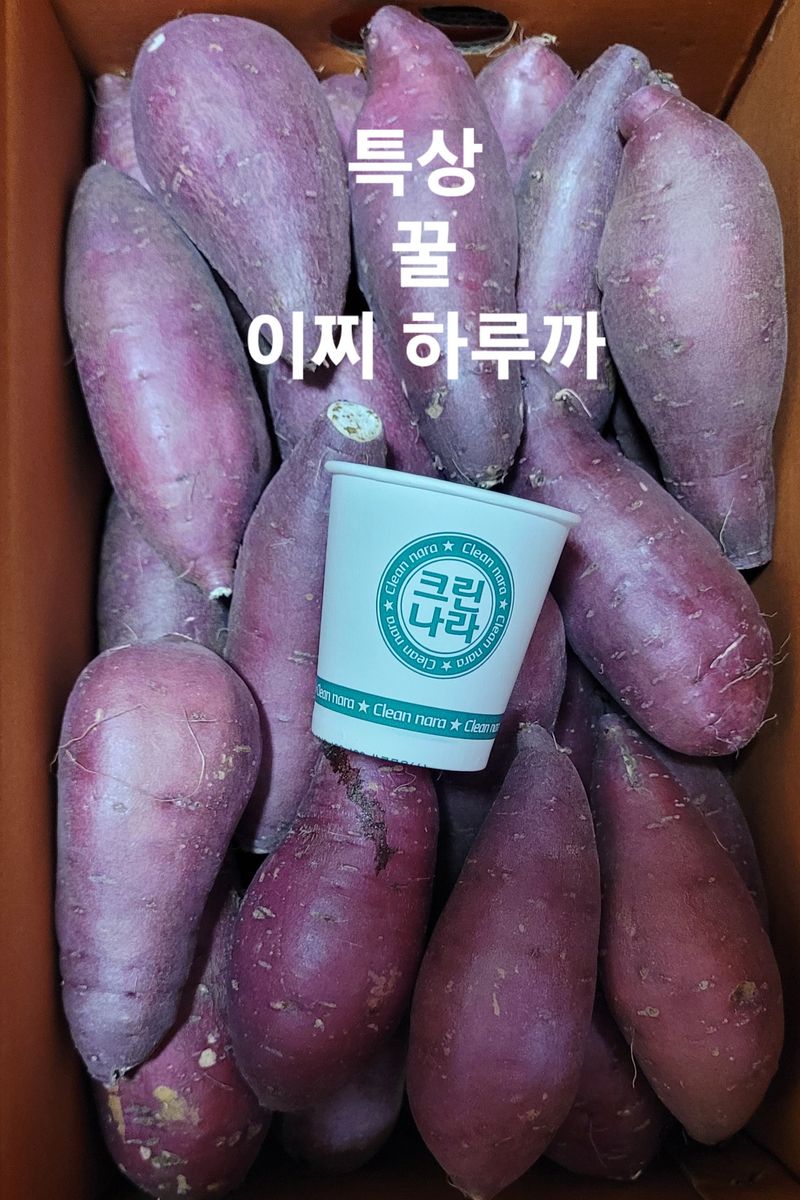 사랑꽃농장님의 장터 판매 상품 [ 실속형 못난이 이찌 하루까 판매5kg] 첨부 사진