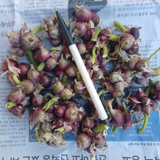 삼성농산님의 작성글 사진