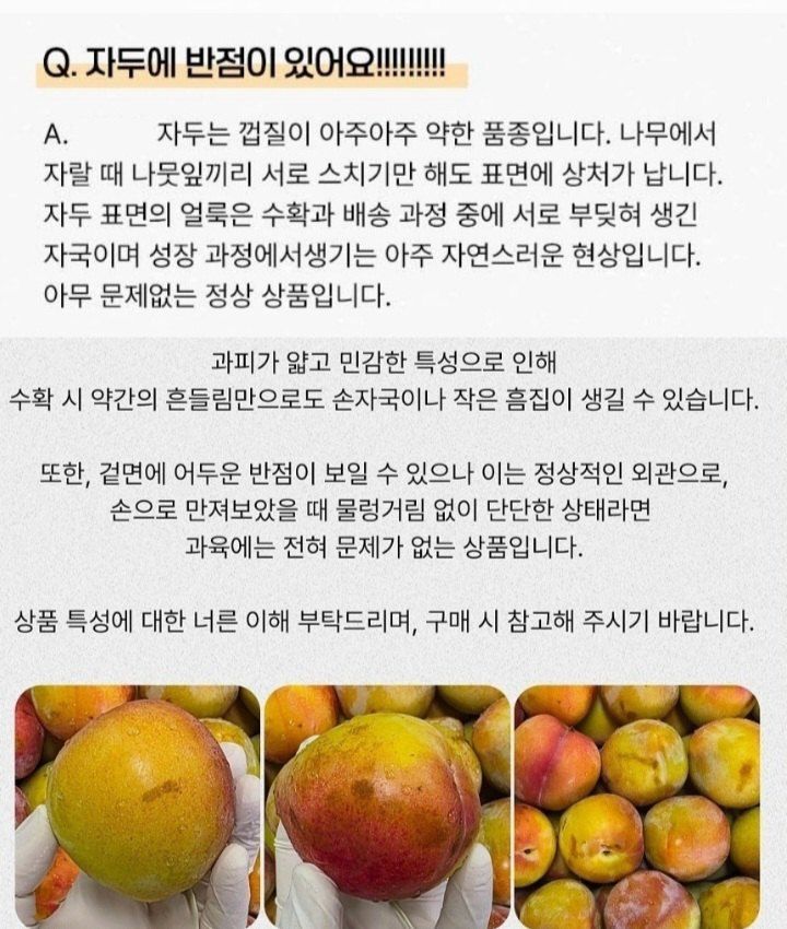 자두14488님의 장터 판매 상품 [자두 3kg 새콤달콤 여름 제철 과일 ] 첨부 사진
