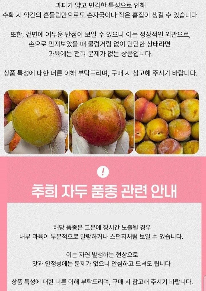 자두14488님의 장터 판매 상품 [자두 3kg 새콤달콤 여름 제철 과일 ] 첨부 사진