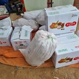 팜모닝 자유주제·자유게시판 게시글 이미지