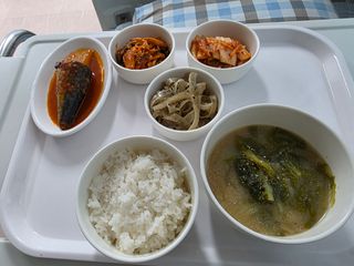 빛그린 김용화님의 자유주제 · 자유게시판 작성글 사진