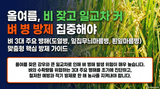 팜모닝 자유주제·자유게시판 게시글 이미지