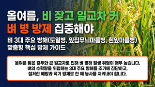 엔피코뉴스님의 자유주제·자유게시판 작성글 사진