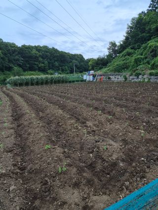옥천서화농님의 자유주제 · 자유게시판 작성글 사진