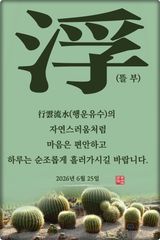 팜모닝 자유주제·자유게시판 게시글 이미지
