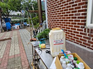 김용대님의 자유주제 · 자유게시판 작성글 사진