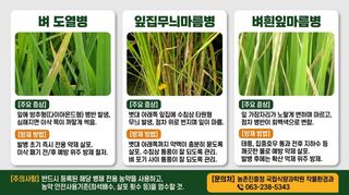 엔피코뉴스님의 자유주제 · 자유게시판 작성글 사진