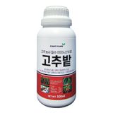 팜모닝 · 게시글 이미지