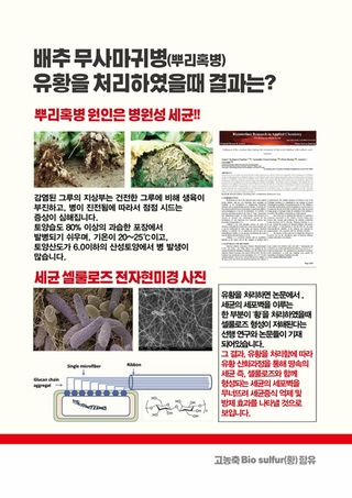 파머스케어님의 작성글 사진