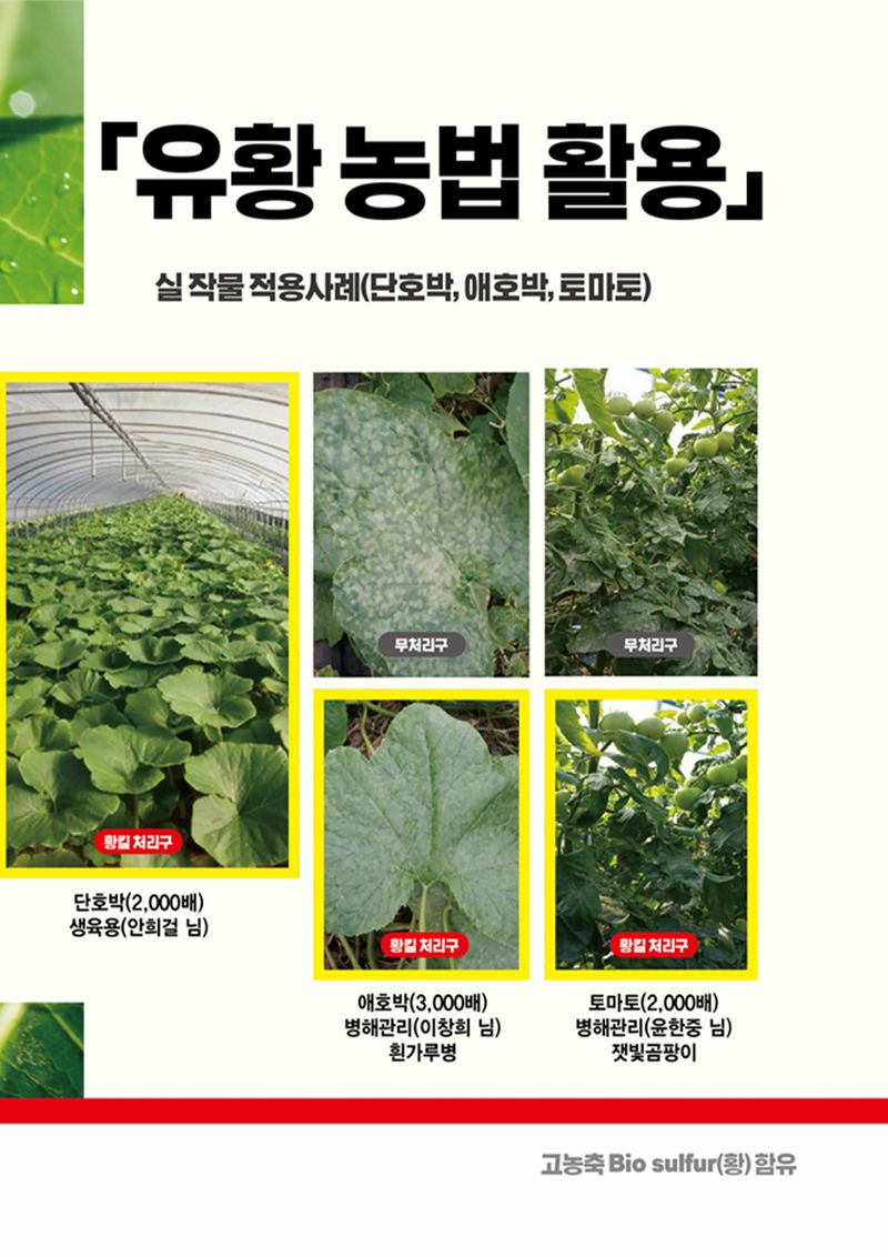 파머스케어님의 장터 판매 상품 [유황 황킬500g 병해충관리용 참외 흰가루병 농약효과 오이 고추 무 상추 비료] 첨부 사진