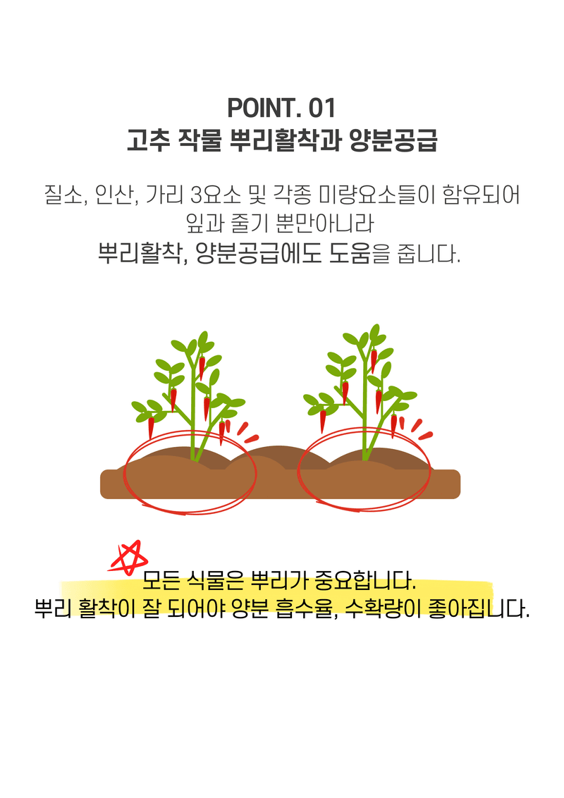 파머스케어님의 장터 판매 상품 [고추밭500ml + 가든고추비료2.5kg세트 텃밭 고추 모종 심은 후 밑비료 추비 칼슘 마그네슘 함유 복합비료] 첨부 사진