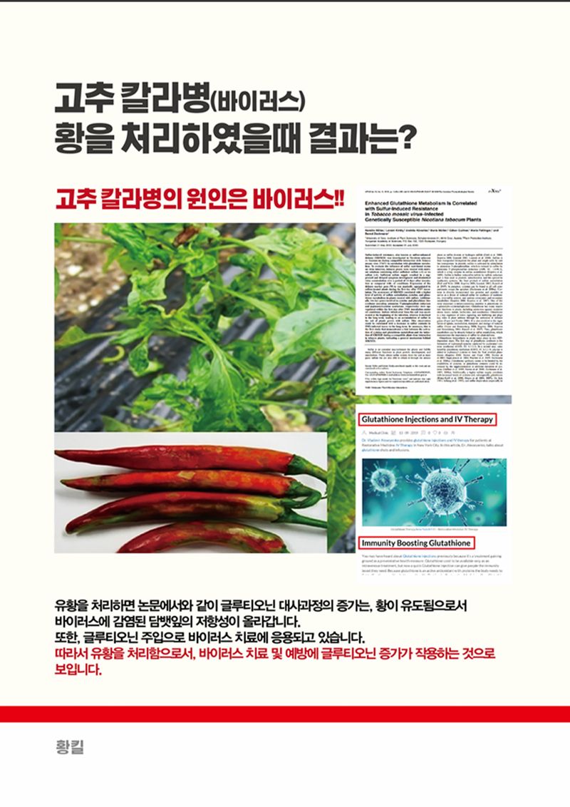 파머스케어님의 장터 판매 상품 [유황 황킬500g 병해충관리용 참외 흰가루병 농약효과 오이 고추 무 상추 비료] 첨부 사진