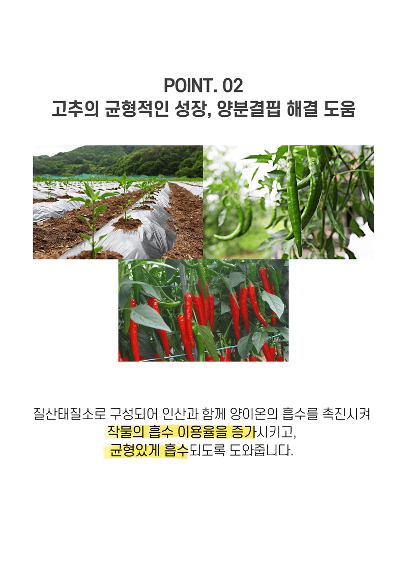 파머스케어님의 장터 판매 상품 [고추밭500ml + 가든고추비료2.5kg세트 텃밭 고추 모종 심은 후 밑비료 추비 칼슘 마그네슘 함유 복합비료] 첨부 사진