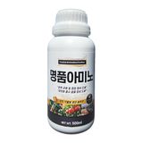 팜모닝 · 게시글 이미지