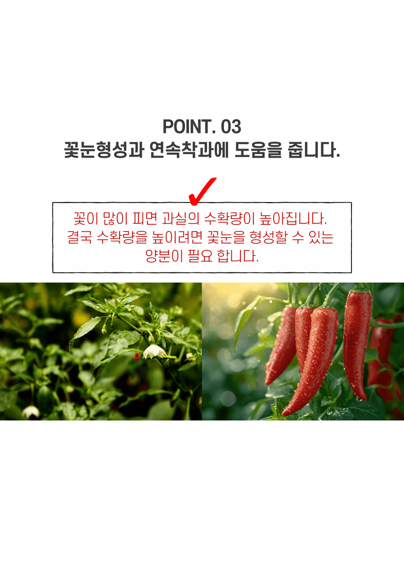 파머스케어님의 장터 판매 상품 [고추밭500ml + 가든고추비료2.5kg세트 텃밭 고추 모종 심은 후 밑비료 추비 칼슘 마그네슘 함유 복합비료] 첨부 사진
