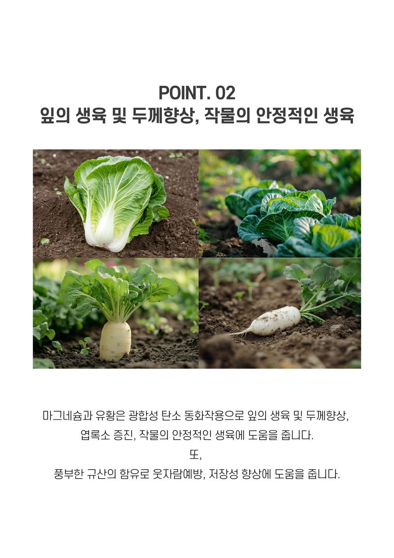파머스케어님의 장터 판매 상품 [친환경마켓 배추무밭500ml 가든배추무비료1kg 세트 김장 배추 무 밭 비료 추비 기비 칼슘 마그네슘 함유 복합비료] 첨부 사진
