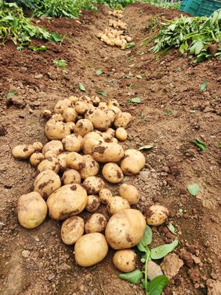 신승덕맛익는사과님의 자유주제 · 자유게시판 작성글 사진