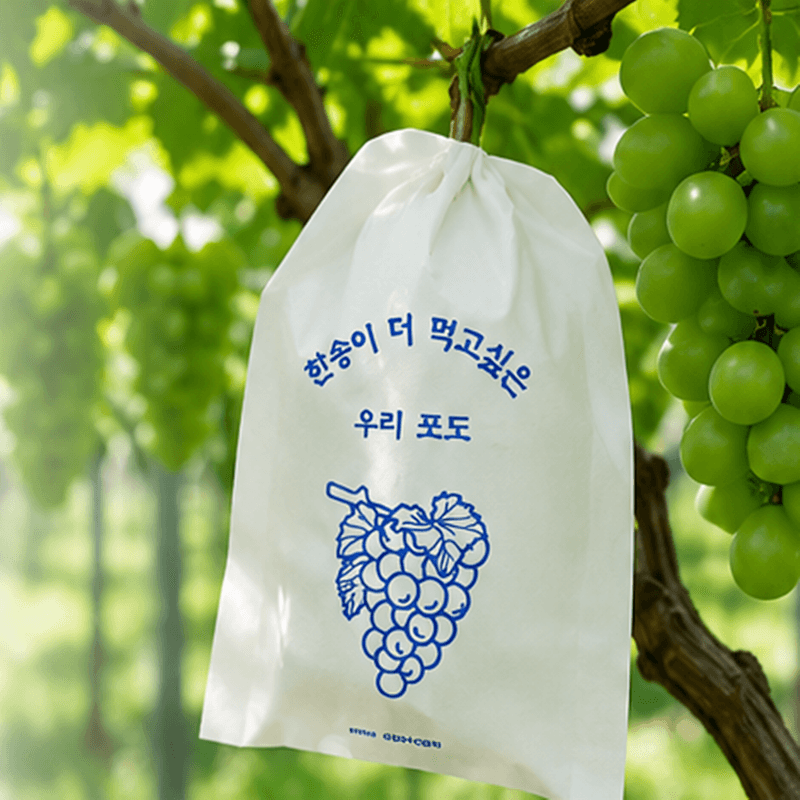 장터 상품 [포도봉지 핀부착 과수봉지 100매 과일보호 병해충방지 햇빛차단 포도재배용 농자재] 썸네일