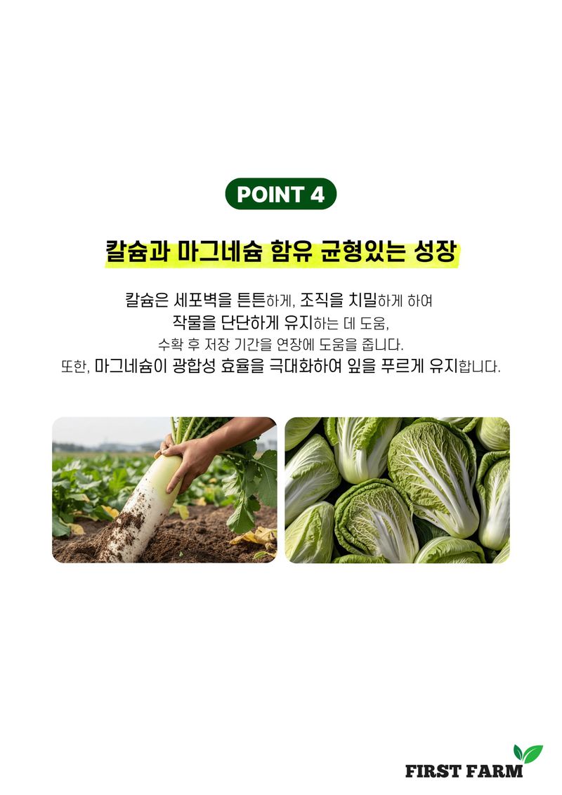 파머스케어님의 장터 판매 상품 [친환경마켓 배추무밭500ml 가든배추무비료1kg 세트 김장 배추 무 밭 비료 추비 기비 칼슘 마그네슘 함유 복합비료] 첨부 사진