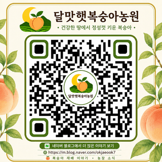 달맛햇복숭아농원님의 자유주제 · 자유게시판 작성글 사진