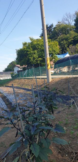 Kns4324님의 자유주제 · 자유게시판 작성글 사진