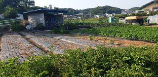 Kns4324님의 자유주제 · 자유게시판 작성글 사진