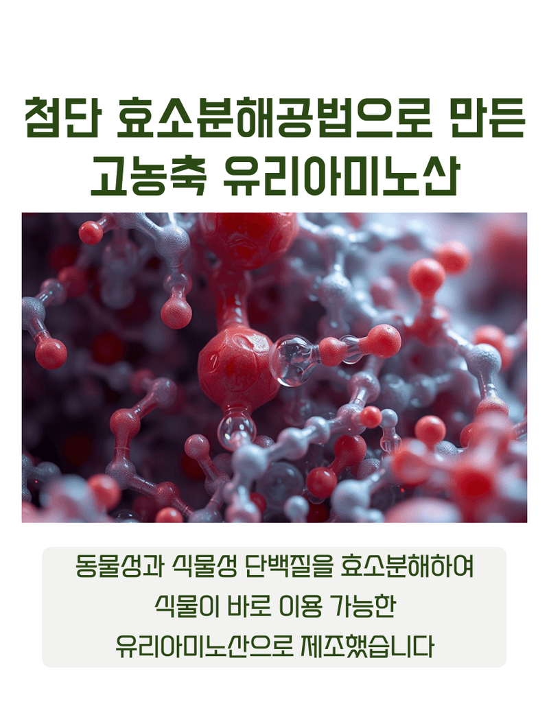 농업마켓365님의 장터 판매 상품 [아미노산100 액제 500ml 고농축 동식물성 유리아미노산 생육촉진 프리미엄 식물영양제] 첨부 사진