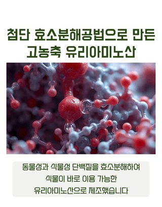 농업마켓365님의 작성글 사진