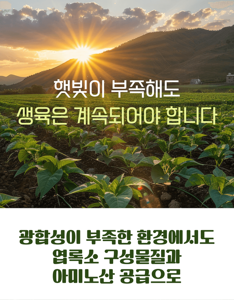 농업마켓365님의 장터 판매 상품 [아미노산100 액제 500ml 고농축 동식물성 유리아미노산 생육촉진 프리미엄 식물영양제] 첨부 사진