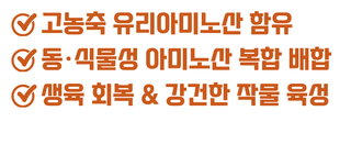 농업마켓365님의 작성글 사진