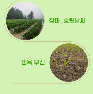 농업마켓365님의 작성글 사진