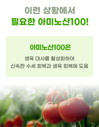 농업마켓365님의 작성글 사진